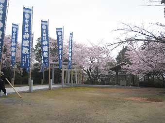 境内の桜